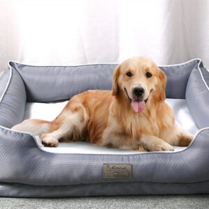 Removable Cushion Pet Bed